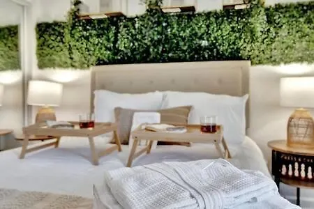 The Hemingway Subtropical Luxury On The Tampa Bay